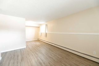 Photo 14: 22 366 94 Avenue SE in Calgary: Acadia Apartment for sale : MLS®# A2121640