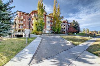 Photo 43: 317 5115 Richard Road SW in Calgary: Lincoln Park Apartment for sale : MLS®# A1179249