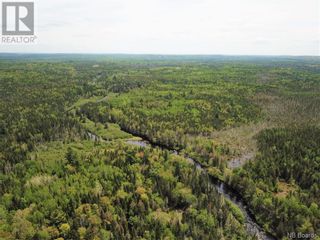 Photo 5: - Canoose Stream Road in Canoose: Vacant Land for sale : MLS®# NB073754