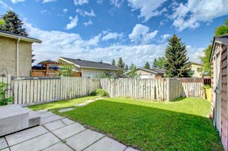 Photo 27: 26 Abalone Crescent NE in Calgary: Abbeydale Detached for sale : MLS®# A1244903