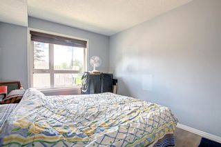 Photo 32: 124 8200 4 Street NE in Calgary: Beddington Heights Apartment for sale : MLS®# A2017788