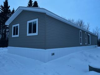 Photo 37: 60113 RGE RD 252: Rural Westlock County House for sale : MLS®# E4272453