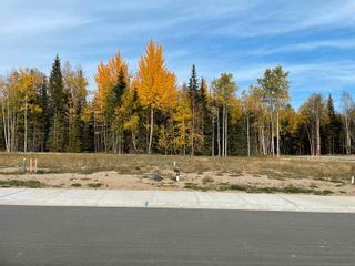 Photo 4: 7220 HILLU Road in Prince George: North Kelly Land for sale in "Legacy Park" (PG City North)  : MLS®# R2727873
