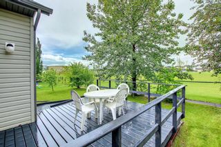Photo 32: 187 Royal Birch Way NW in Calgary: Royal Oak Detached for sale : MLS®# A1229827