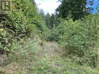 Photo 10: LT 6, 7 & 22-24 2ND AVENUE in Queen Charlotte City: Vacant Land for sale : MLS®# R2645643