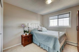Photo 19: 3324 10 Prestwick Bay SE in Calgary: McKenzie Towne Apartment for sale : MLS®# A2039330