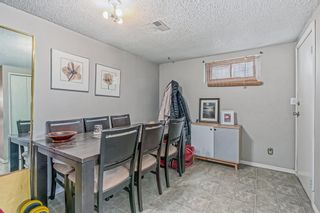 Photo 20: 2439 52 Avenue SW in Calgary: North Glenmore Park Detached for sale : MLS®# A2028594
