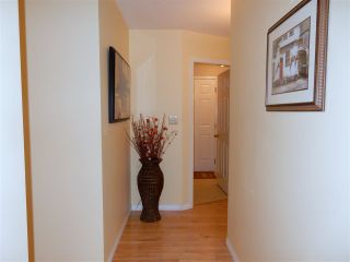 Photo 15: 23161 124A Avenue in Maple Ridge: East Central House for sale : MLS®# R2464710