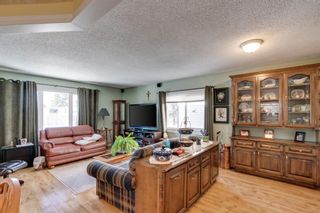 Photo 4: 10 Abalone Crescent NE in Calgary: Abbeydale Detached for sale : MLS®# A1072255