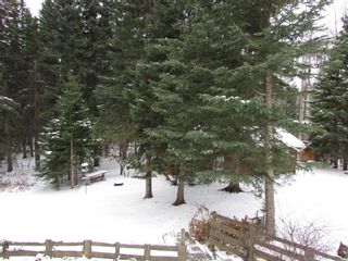 Photo 36: 20 Alder Green Close Other SE: Rural Clearwater County Detached for sale : MLS®# A1049287
