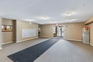 Photo 3: 301 15 Saddlestone Way NE in Calgary: Saddle Ridge Apartment for sale : MLS®# A1209636