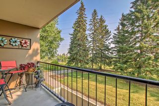 Photo 7: 104 328 Cedar Crescent SW in Calgary: Spruce Cliff Apartment for sale : MLS®# A2078502