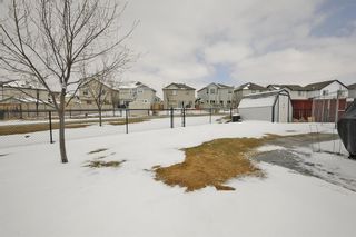Photo 18: 122 Martha's Haven Green NE in Calgary: Martindale Detached for sale : MLS®# A1169669