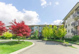 Photo 15: 102 9299 TOMICKI Avenue in Richmond: West Cambie Condo for sale in "MERIDIAN GATE" : MLS®# R2398260