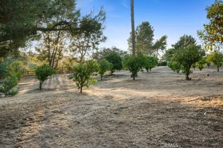 Photo 49: 2 Gateview Drive in Fallbrook: Residential for sale (92028 - Fallbrook)  : MLS®# OC22229025