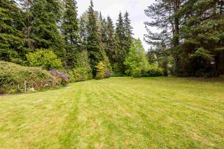 Photo 5: 3060 SUNNYSIDE Road: Anmore House for sale (Port Moody)  : MLS®# R2366520