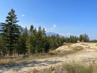 Photo 2: 2612 LAKEVIEW RISE in Invermere: Vacant Land for sale : MLS®# 2467804