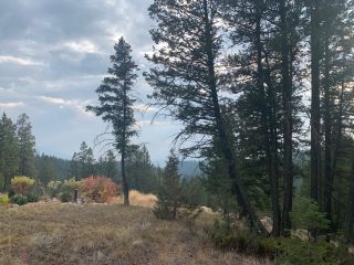 Photo 3: Lot 4 CROOKED TREE PLACE in Fairmont Hot Springs: Vacant Land for sale : MLS®# 2468003