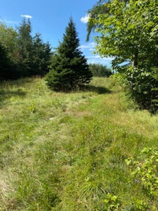 Main Photo: Lot 05-2K Highway 329 in Fox Point: 405-Lunenburg County Vacant Land for sale (South Shore)  : MLS®# 202218488