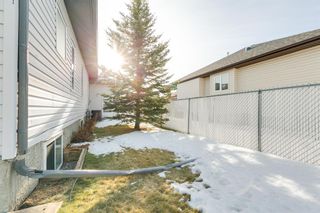 Photo 29: 320 Sunset Way: Crossfield Detached for sale : MLS®# A1061148