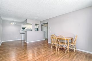 Photo 14: 206 1919 36 Street SW in Calgary: Killarney/Glengarry Apartment for sale : MLS®# A2041457