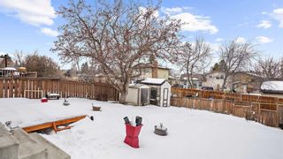 Photo 32: 300 Berwick Drive NW in Calgary: Beddington Heights Detached for sale : MLS®# A2118693
