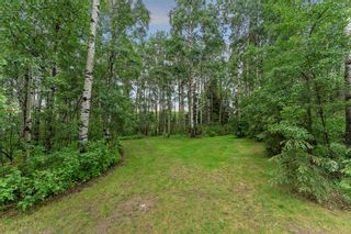 Photo 44: 13 Alder Green Close: Rural Clearwater County Detached for sale : MLS®# A2053680