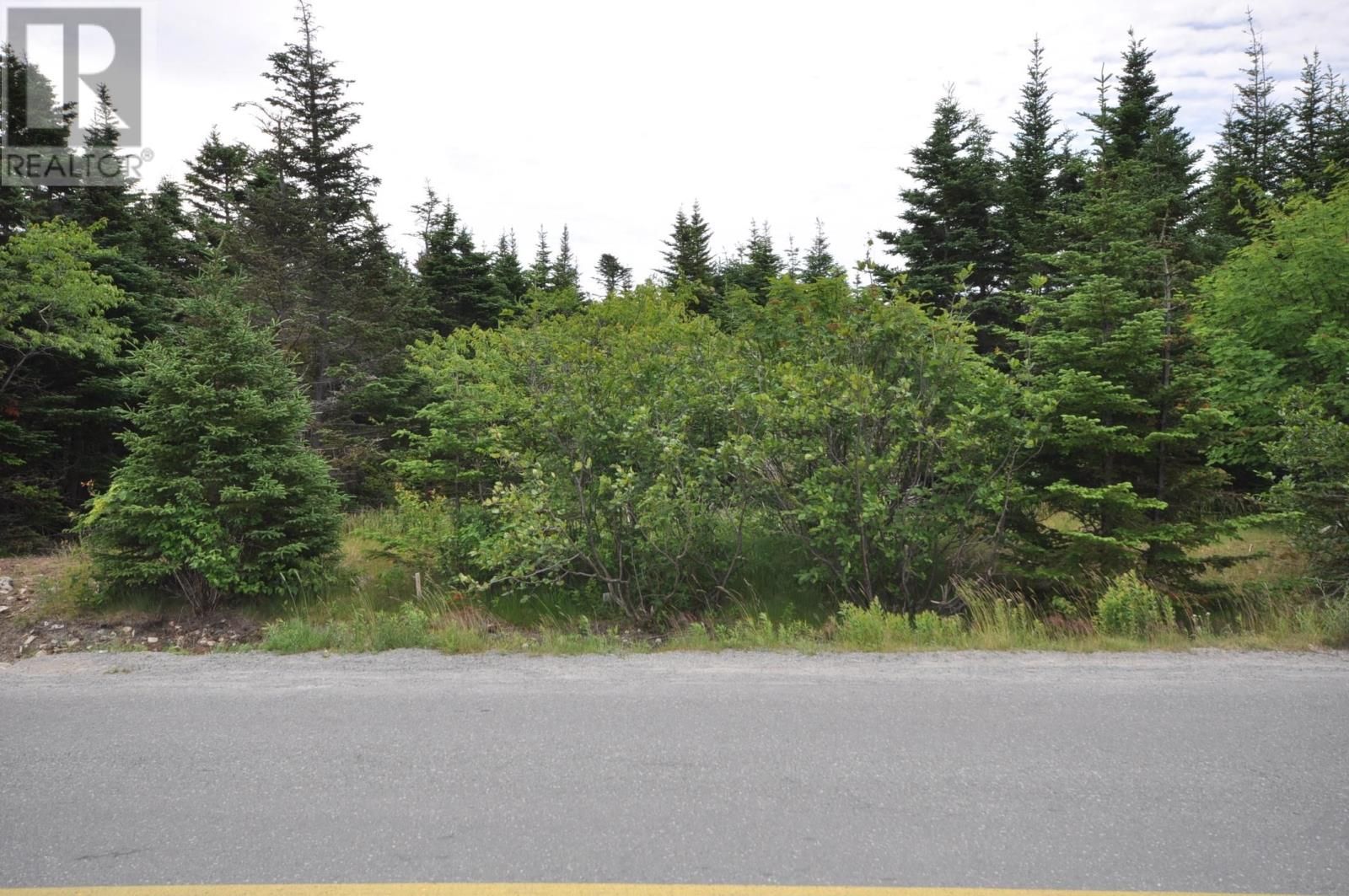 Main Photo: 71 Patrick's Path in Torbay: Vacant Land for sale : MLS®# 1253922