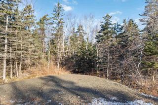 Photo 10: Lot 3 Hampton Mountain Road in Hampton: Annapolis County Vacant Land for sale (Annapolis Valley)  : MLS®# 202403731