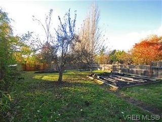 Photo 20: 322 Irving Rd in VICTORIA: Vi Fairfield East House for sale (Victoria)  : MLS®# 589580