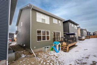 Photo 33: 269 Ambleside Avenue NW in Calgary: C-527 Detached for sale : MLS®# A2132256
