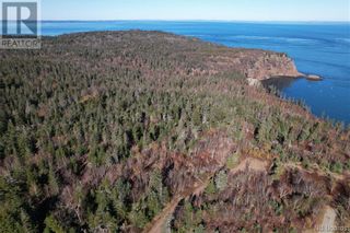 Photo 3: -- Whistle Road in Grand Manan: Vacant Land for sale : MLS®# NB082536