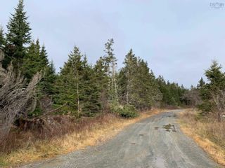 Photo 2: 18 Gold Mine Road in Tangier: 35-Halifax County East Vacant Land for sale (Halifax-Dartmouth)  : MLS®# 202227412