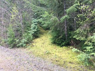 Photo 41: 3,4,6 Armstrong Road in Eagle Bay: Vacant Land for sale : MLS®# 10133907