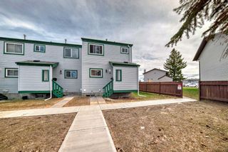 Photo 39: 34 131 Templehill Drive NE in Calgary: Temple Row/Townhouse for sale : MLS®# A2128849