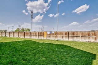 Photo 27: 151 Martha's Meadow Close NE in Calgary: Martindale Detached for sale : MLS®# A2052530