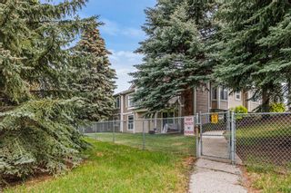 Photo 44: 36 Douglasbank Gardens SE in Calgary: Douglasdale/Glen Semi Detached (Half Duplex) for sale : MLS®# A2052433