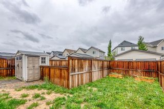 Photo 28: 20 Copperpond Heights SE in Calgary: Copperfield Detached for sale : MLS®# A2128576