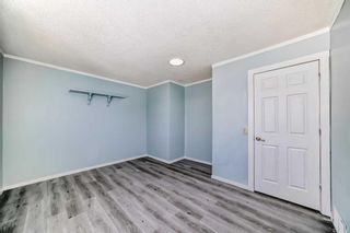 Photo 14: 76 Martinbrook Road NE in Calgary: Martindale Detached for sale : MLS®# A2119222