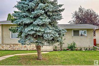 Photo 42: 11807 137 Avenue in Edmonton: Zone 01 House for sale : MLS®# E4356838