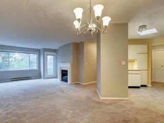 Photo 8: 305 3921 Shelbourne St in Saanich: SE Mt Tolmie Condo for sale (Saanich East)  : MLS®# 918525