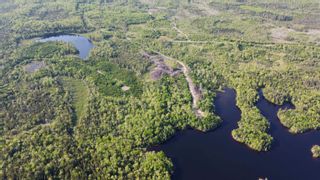 Photo 14: Lot Old Mulgrave Road in Grants Lake: 303-Guysborough County Vacant Land for sale (Highland Region)  : MLS®# 202325264