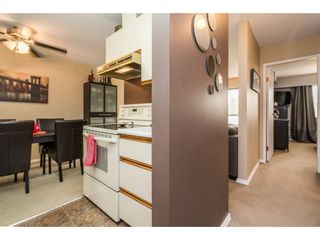 Photo 13: 203 2425 SHAUGHNESSY Street in Port Coquitlam: Central Pt Coquitlam Condo for sale : MLS®# R2195170