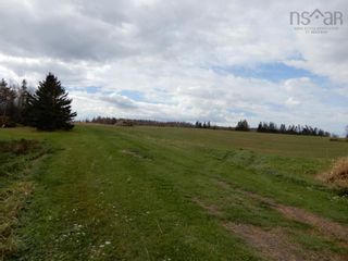 Photo 12: 55 acres Highway 6 in Toney River: 108-Rural Pictou County Vacant Land for sale (Northern Region)  : MLS®# 202224296