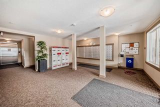 Photo 29: 1323 81 Legacy Boulevard SE in Calgary: Legacy Apartment for sale : MLS®# A2128699