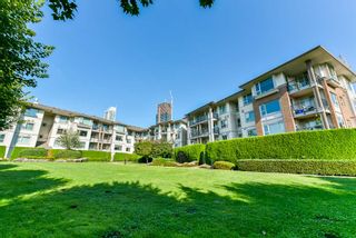 Photo 20: 306 4728 DAWSON Street in Burnaby: Brentwood Park Condo for sale in "MONTAGE" (Burnaby North)  : MLS®# R2300528
