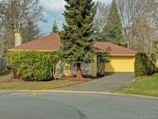 Photo 1: 4121 Mercer Pl in VICTORIA: SE Mt Doug House for sale (Saanich East)  : MLS®# 779972