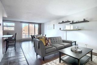 Photo 19: 402 1027 Cameron Avenue SW in Calgary: Lower Mount Royal Apartment for sale : MLS®# A2070576