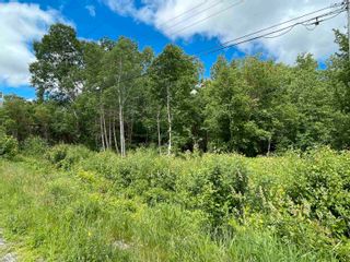 Photo 8: Lot 22-1 Pleasant Drive in Lyons Brook: 108-Rural Pictou County Vacant Land for sale (Northern Region)  : MLS®# 202215225