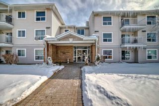 Main Photo: 202 5555 Falsbridge Drive NE in Calgary: Falconridge Apartment for sale : MLS®# A2118008